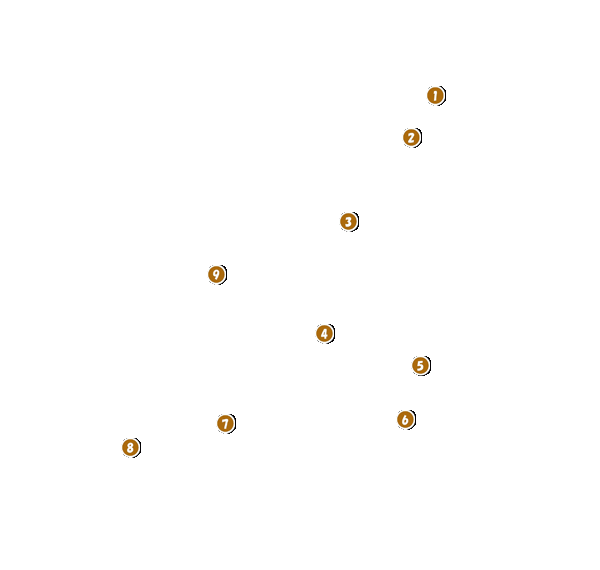 コース全体俯瞰図