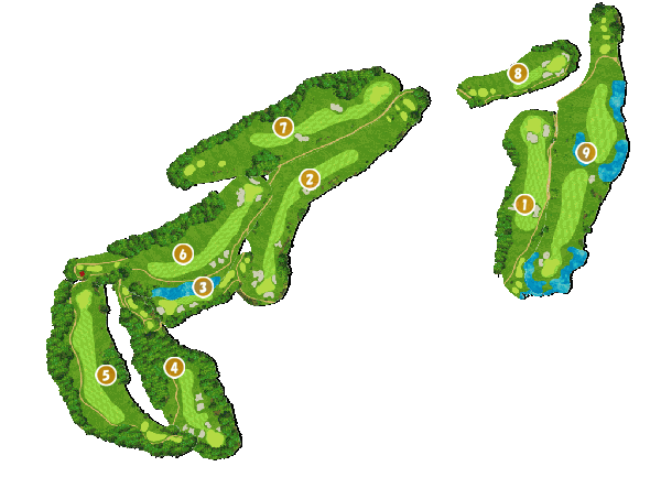 コース全体俯瞰図